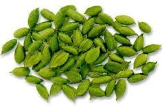 Indian Spices
