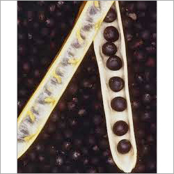 Monola Seeds