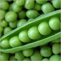 Fresh Green Peas