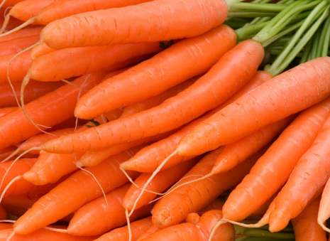 Fresh Orange Carrot