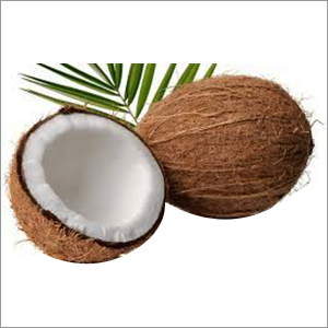 Coconut