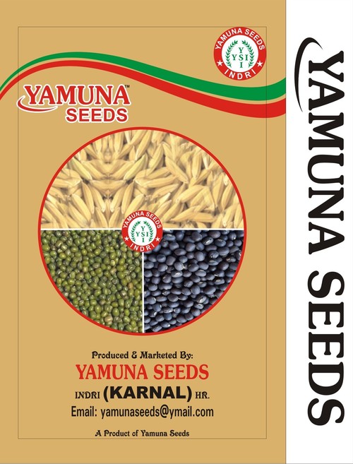 Brown Mustard Seed