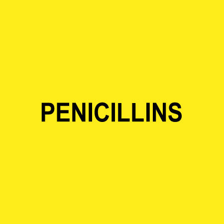 Antibiotic Penicillins