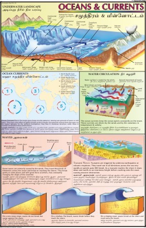 Ocean & Currents Chart