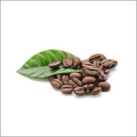 Fresh Organic Coffee