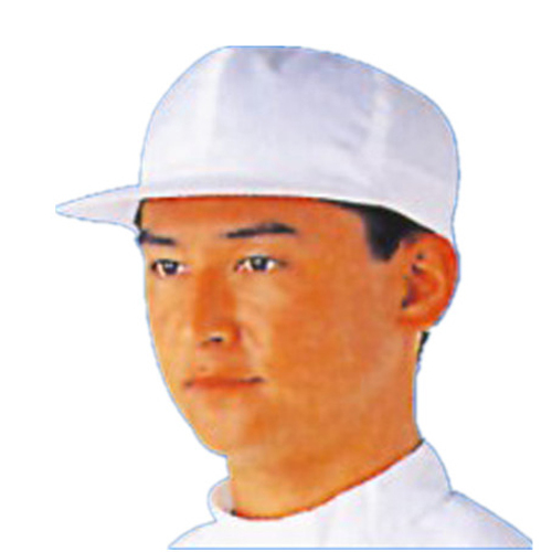 ESD Work Cap for Anti-static work shop, wear with ESD garments
