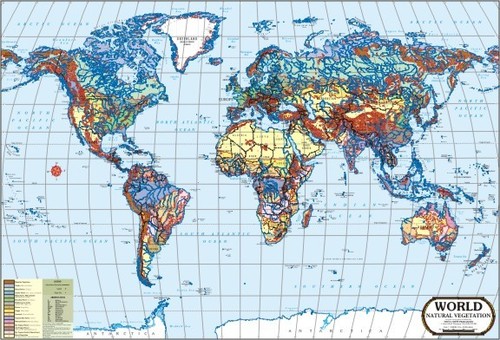 World Natural Vegetation Map