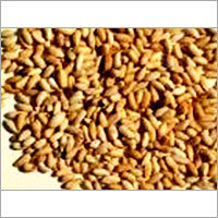 Organic Neem Seeds