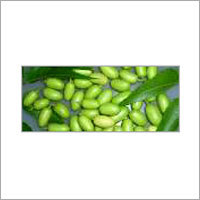 Neem Seeds