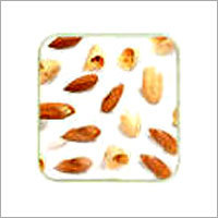 Neem Seed Kernel Extract