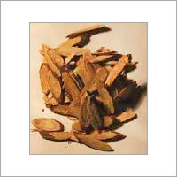 Forest Seed