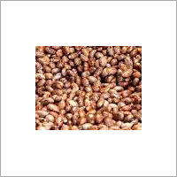 Castor Seeds