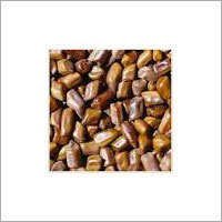 Cassia Tora Seeds