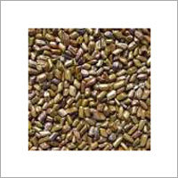 Cassiatora Seeds