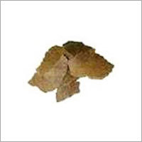 Pongamia Pinnata Seed Cakes