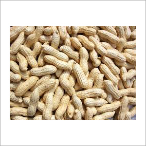 Shelled Groundnuts