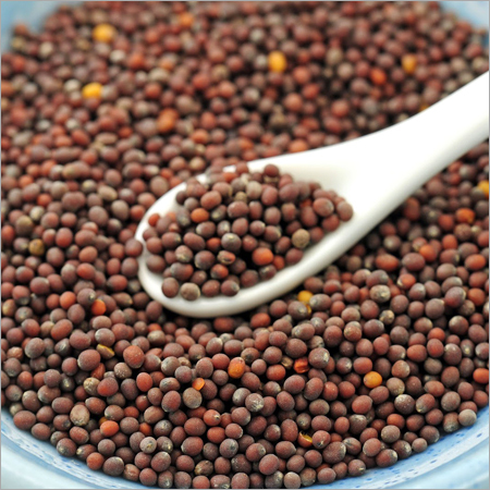Mustard Seeds
