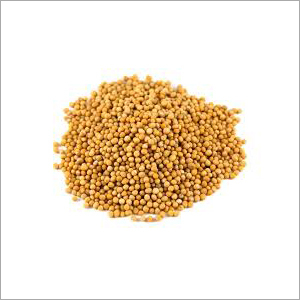 Yellow Mustard Seeds