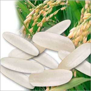 White Ponni Rice