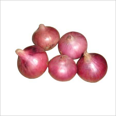 Bangalore Fresh Rose Onion