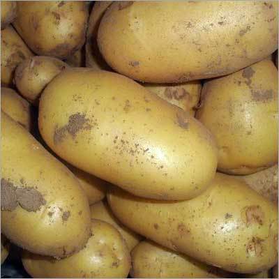 Fresh Potatoes