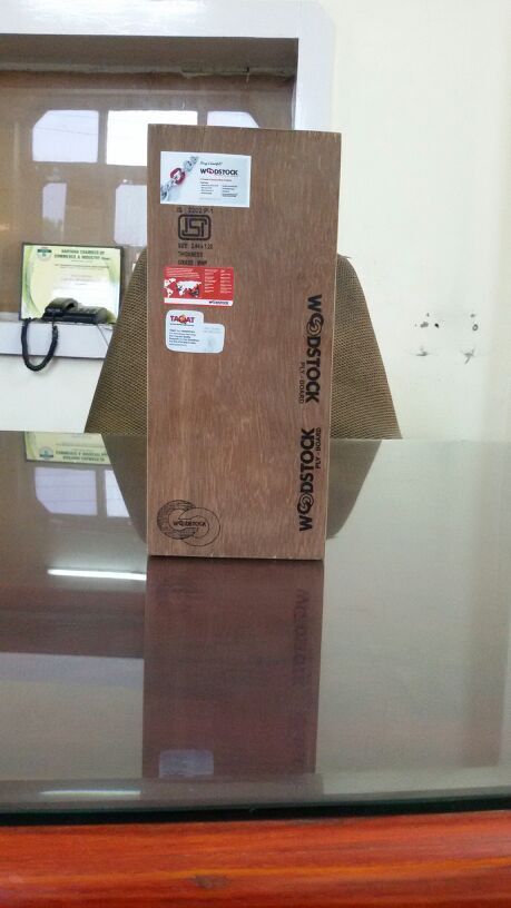 Decorative Flush Door