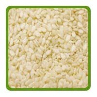 Indian Hulled Sesame Seeds 99.97% Purity - White Color, FFA Below 2%, 48% Oil Content | Low Moisture, 5% Admixture Max, Nutrient Dense