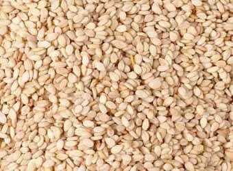 Superfine Natural Sesame At Best Price