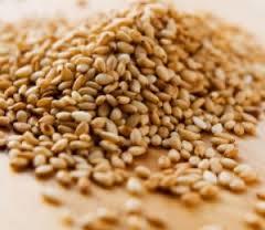 Indian Natural Sesame Seed 99.95% Purity