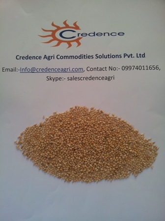 Indian Natural Sesame Seed 99% Purity For Sale