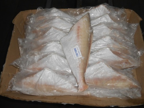 Leather Jacket Fish Exporter
