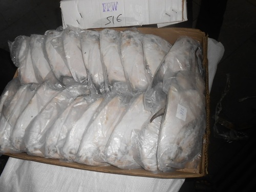 Silver Pomfert Exporter