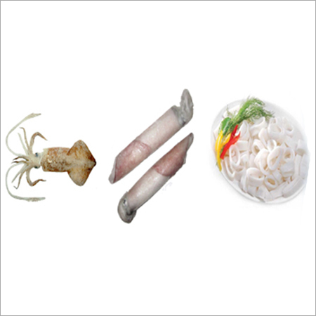 Squid Exporter