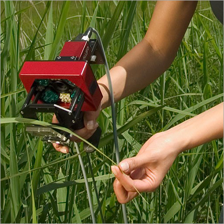 Chlorophyll Fluorometer (Imaging PAM)