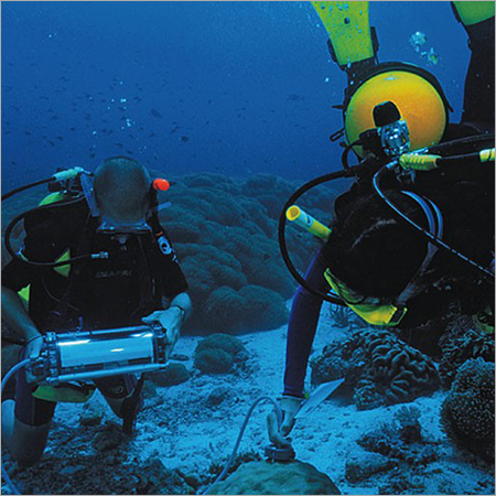 Water Diving Chlorophyll Fluorometer