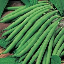 Fresh Green Beans