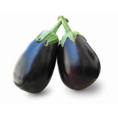 Fresh Brinjal