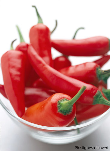 Fresh Red Chillies