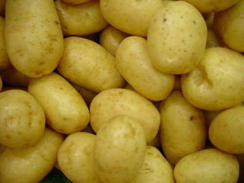 Fresh Potatoes
