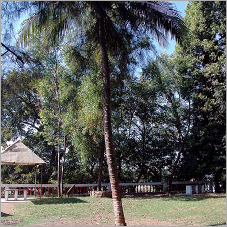 Amusement Garden Park