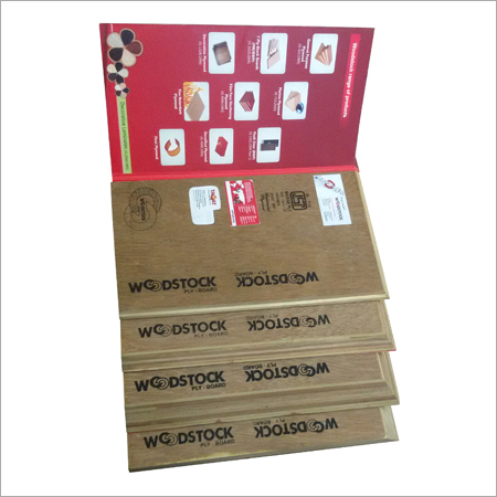 Commercial Flush Door