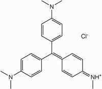Methyl Violet (M.S.)