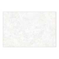 Plain White Ceramic Wall Tiles 