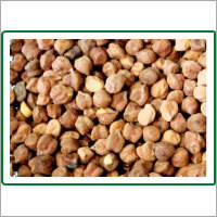 Chana Kala