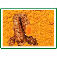 Haldi Gattha