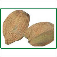 Waterly Coconut