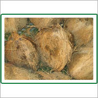 Coconut