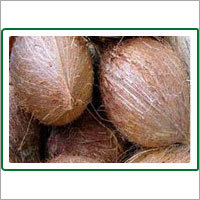 Waterly Coconut