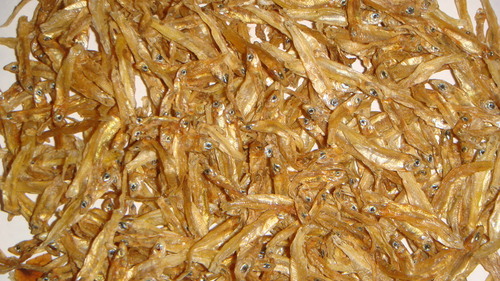 khiski - Dried Anchovy, Clean Drying, Fresh Dried, Brown Color, Long Shelf Life, High Quality, Rich Flavor, Bulk Packaging, Variable Size