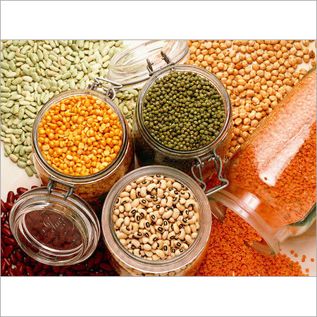 Protein Pulses